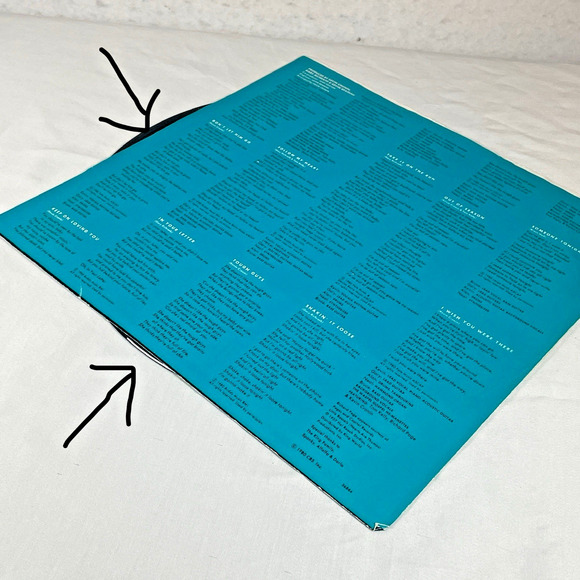 REO Speedwagon Vinyl Record Albums x2: Hi Infidelity, Live You Get What You Play - Picture 5 of 16